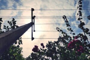Odszkodowania za słupy energetyczne z czasów PRL - nowe możliwości po wyrokach sądów